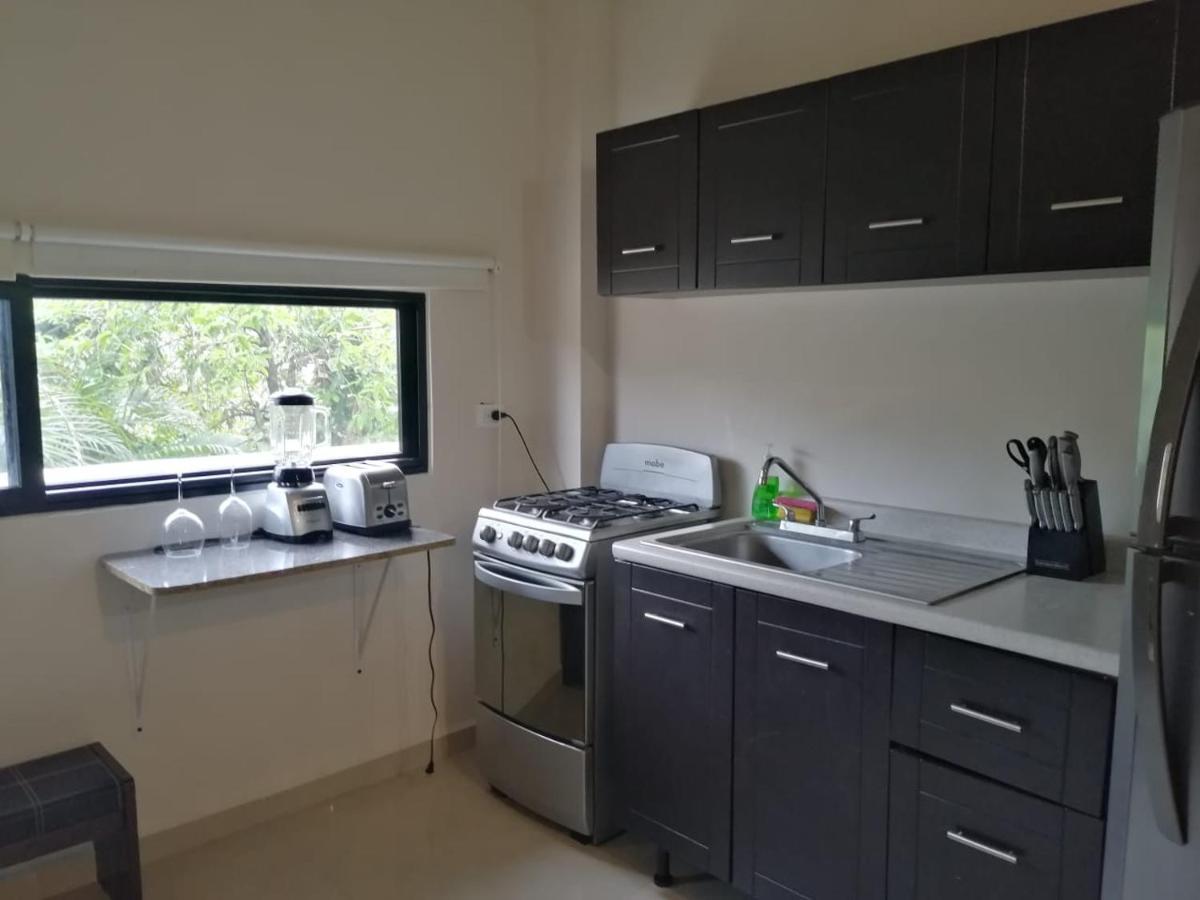 Calle 22 By 770 Apartments ปลายาเดลการ์เมน ภายนอก รูปภาพ